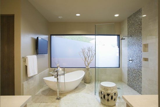 Frameless Glass Shower Screens