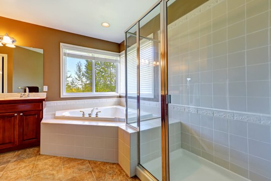 Frameless Shower Screen